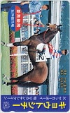 キョウトシチー 愛馬優勝 阪神競馬場