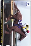 ゴールドアリュール フェブラリーステークス 2003 クオカード500