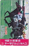 バイオニックシチー 佐藤哲三 私の愛馬