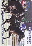 ハンソデバンド 第45回共同通信杯 クオカード500