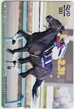 ヴィクトワールピサ 2010 有馬記念 クオカード500