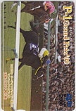 マンハッタンカフェ 2009年リーディングサイアー第1位 P-1Grand Prix クオカード2000