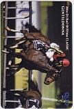 ジェンティルドンナ 2014 DUBAI SHEEMA CLASSIC クオカード500