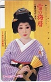 浜木綿子 雪の梅暦