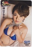 磯山さやか アサ芸シークレット プレミアム！ クオカード500