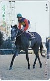 オグリキャップ 第33回有馬記念優勝馬