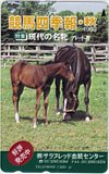 ハギノトップレディ 競馬四季報・秋 サラブレッド血統センター