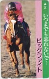 ビッグファイト 京成杯3歳ステークス優勝 両面印刷