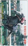 ビワハヤヒデ 第35回宝塚記念優勝