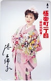 浜木綿子 極楽町一丁目 -嫁姑地地獄篇-