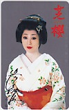 浜木綿子 芝櫻