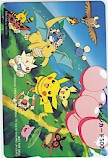 ポケットモンスター オレンジカード500