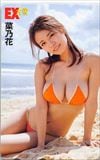 菜乃花 EX大衆