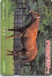 テイエムオペラオー JR北海道 オレンジカード1000
