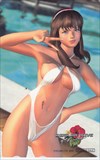 デッド オア アライブ パラダイス