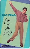 中山秀征 BIG ECHO