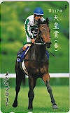 1998年 第117回天皇賞（春） メジロブライト 単勝式馬券 メジロブライト 第117回 天皇賞(春) | 中央競馬（め） | カード