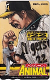藤川球児 ヤングアニマル 図書カード500
