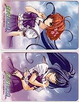 君が望む永遠 2枚組