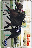 Gallop ウオッカ クオカード500