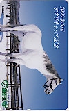 第9回 オグリキャップ記念 2000年 笠松けいば