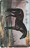 JRA競馬博物館 ゴドルフィン･アラビアン