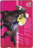 サークルオブライフ 2021年度JRA賞最優秀2歳牝馬 クオカード500