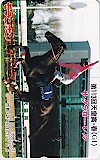 サクラローレル 第113回 天皇賞(春) モランボン