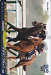 第153回 天皇賞(春) キタサンブラック クオカード500