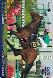 第76回 皐月賞 ディーマジェスティ クオカード500