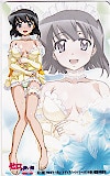 ゼロの使い魔 双月の騎士