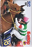 週刊Gallop ハープスター クオカード500