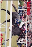 週刊Gallop ビワハヤヒデ クオカード500