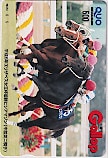 週刊Gallop ヒシアマゾン クオカード500