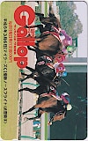 週刊Gallop ノースフライト