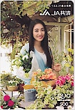 仲間由紀恵 JA共済 クオカード500