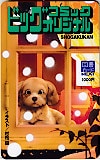 ビッグコミックオリジナル 村松誠 図書カードNEXT1000