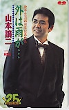 山本譲二 外は雨が