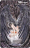 Wings 聖伝CLAMP
