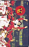 広島東洋カープ 祝優勝V6 れもん屋