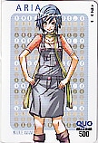 ARIA クオカード500