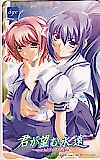 君が望む永遠