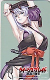 クイーンズブレイド 流浪の戦士