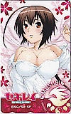 セキレイ