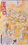 ふしぎ遊戯 渡瀬悠宇