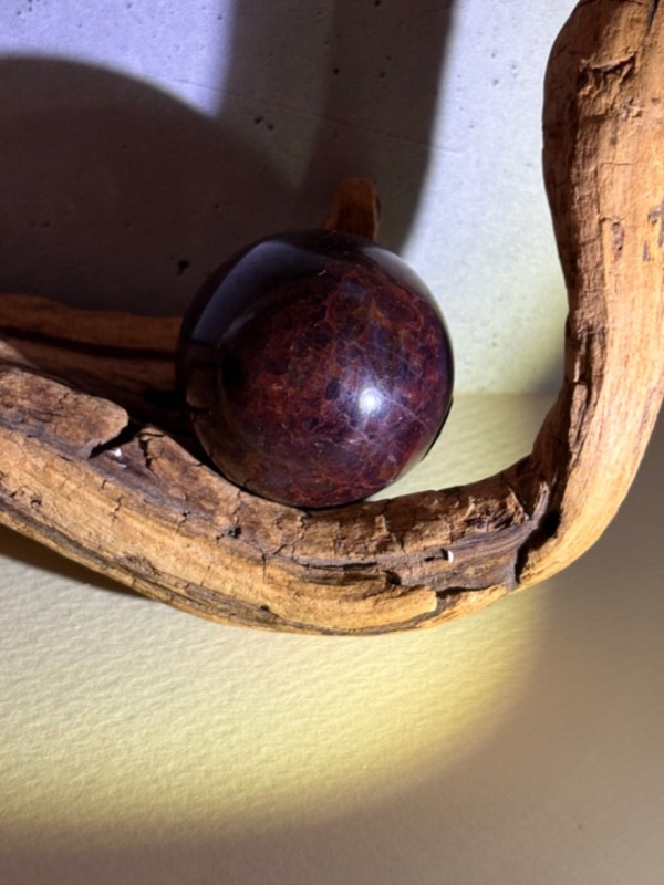 �����ͥå� /���ե���