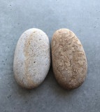糸魚川薬石(ペア)◆(みつお師匠コレクション)