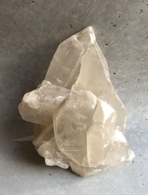 �����������ѡ��ʥ����ȥ����ѡ� ��5 �� �����꡼�ե�å����쥯�����