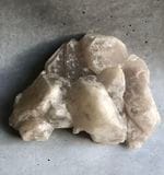 �����������ѡ��ʥ����ȥ����ѡ� ��6 �� �����꡼�ե�å����쥯�����