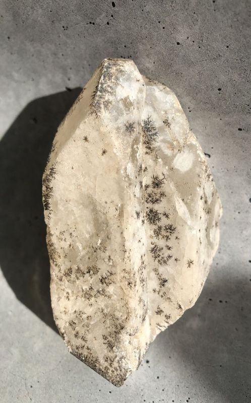 �����������ѡ��ʥ����ȥ����ѡ� ��9�� �����꡼�ե�å����쥯�����